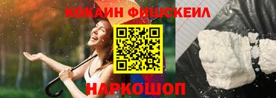 МДПВ Камышлов