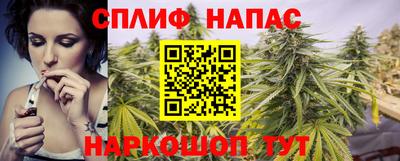 МДПВ Камышлов