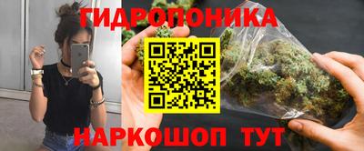 тгк Кингисепп