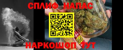 МДПВ Камышлов