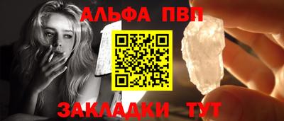 тгк Кингисепп