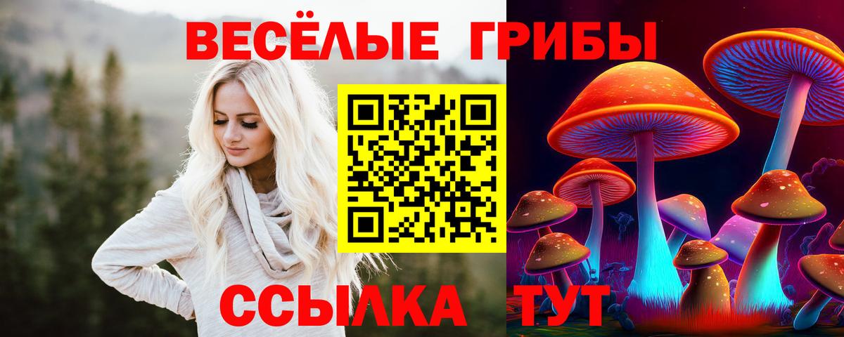 Красноармейск  Псилоцибиновые грибы Magic Shrooms  Вход с VPN  Псилоцибиновые грибы прущие грибы 